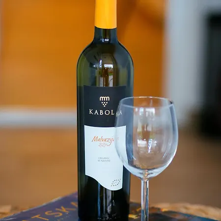 Stay,family Garden ,kids Friendly, Parking In Private Garage Apartman